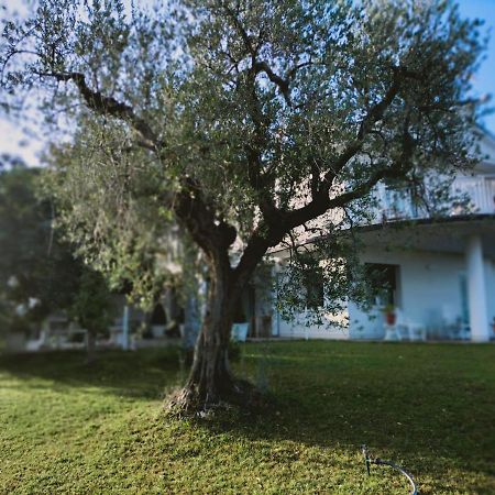Villa Margherita San Giovanni Teatino Exteriér fotografie